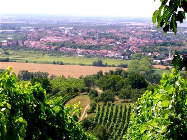 3. Cyklistických okruh začíná ve Velkých Pavlovicích. Vedou zde i vinařské stezky pro pěší.