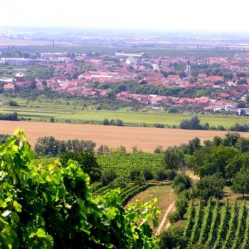 3.	Cyklistických okruh začíná ve Velkých Pavlovicích. Vedou zde i vinařské stezky pro pěší.