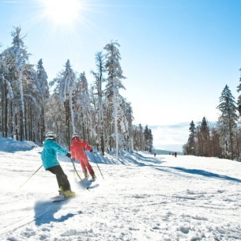 Díky příznivé nadmořské výšce 858 - 1338 m a výkonným sněžným dělům pokrývající 100% sjezdovek zaručuje Hochficht největší sněhovou jistotu na Šumavě