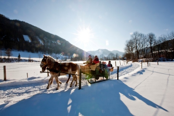 Je libo vyjížďku i dospělými jsou výlety na saních tažených koňmi zasněženou krajinou?