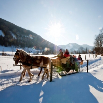 Je libo vyjížďku i dospělými jsou výlety na saních tažených koňmi zasněženou krajinou? 