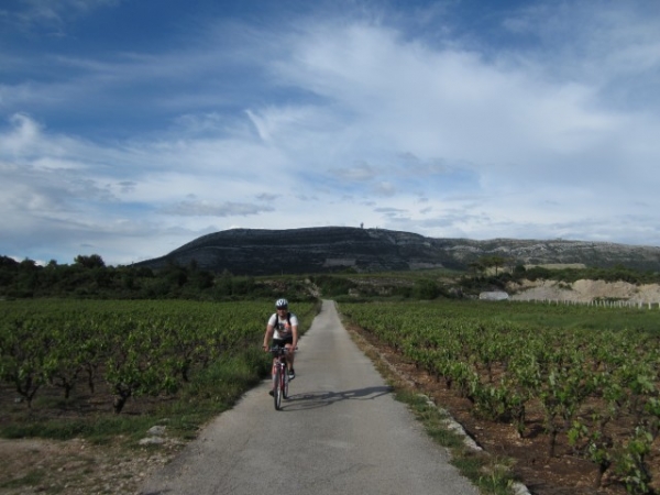Na poloostrově Pelješac se projedete na kole slavnými vinicemi Dingač