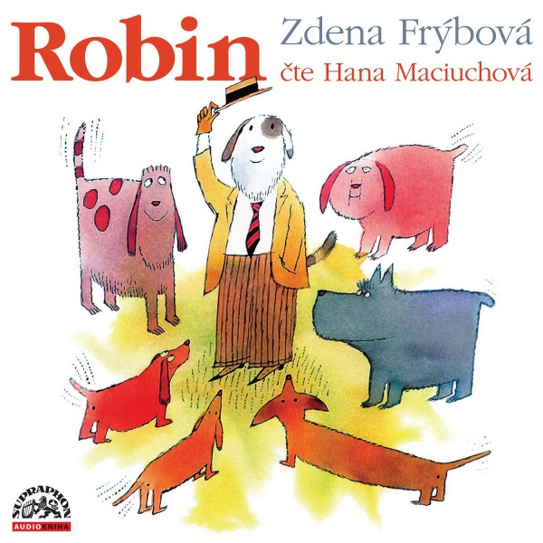 cover-audiokniha-cd-robin 19153