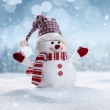 snowman-1225602394web 21373