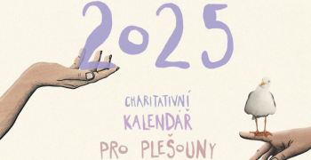 pro-plesouny 25255